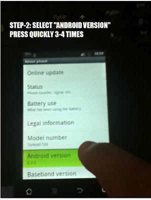 Steps To Test Zombie Attack In Android Phones